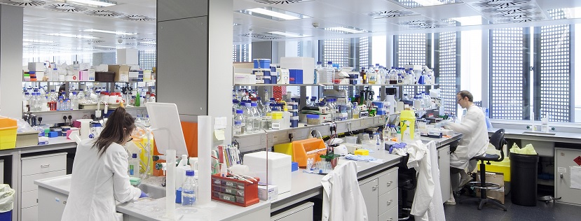 Scientists at lab benches