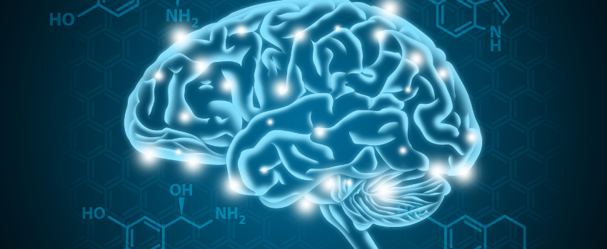 Illustration of a brain with outlines glowing in blue