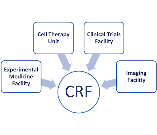 CRF Structure
