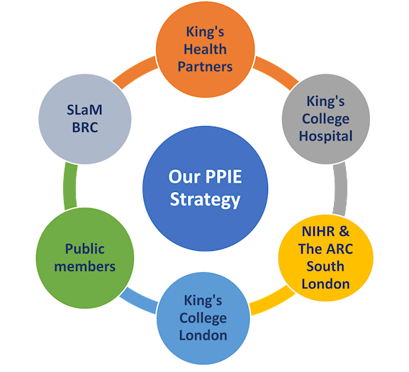 Partners and Collaborators