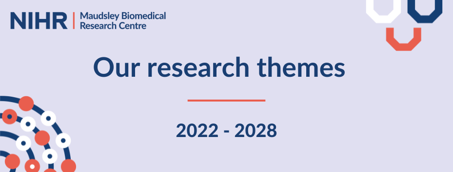 our research themes 2022-28